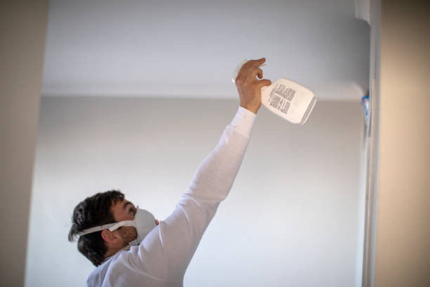 Best Preventive Mold Services in Saylorville, IA